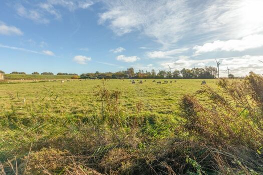Herrlicher Blick über die weiten Wiesen