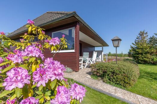 Die windgeschützte Terrasse