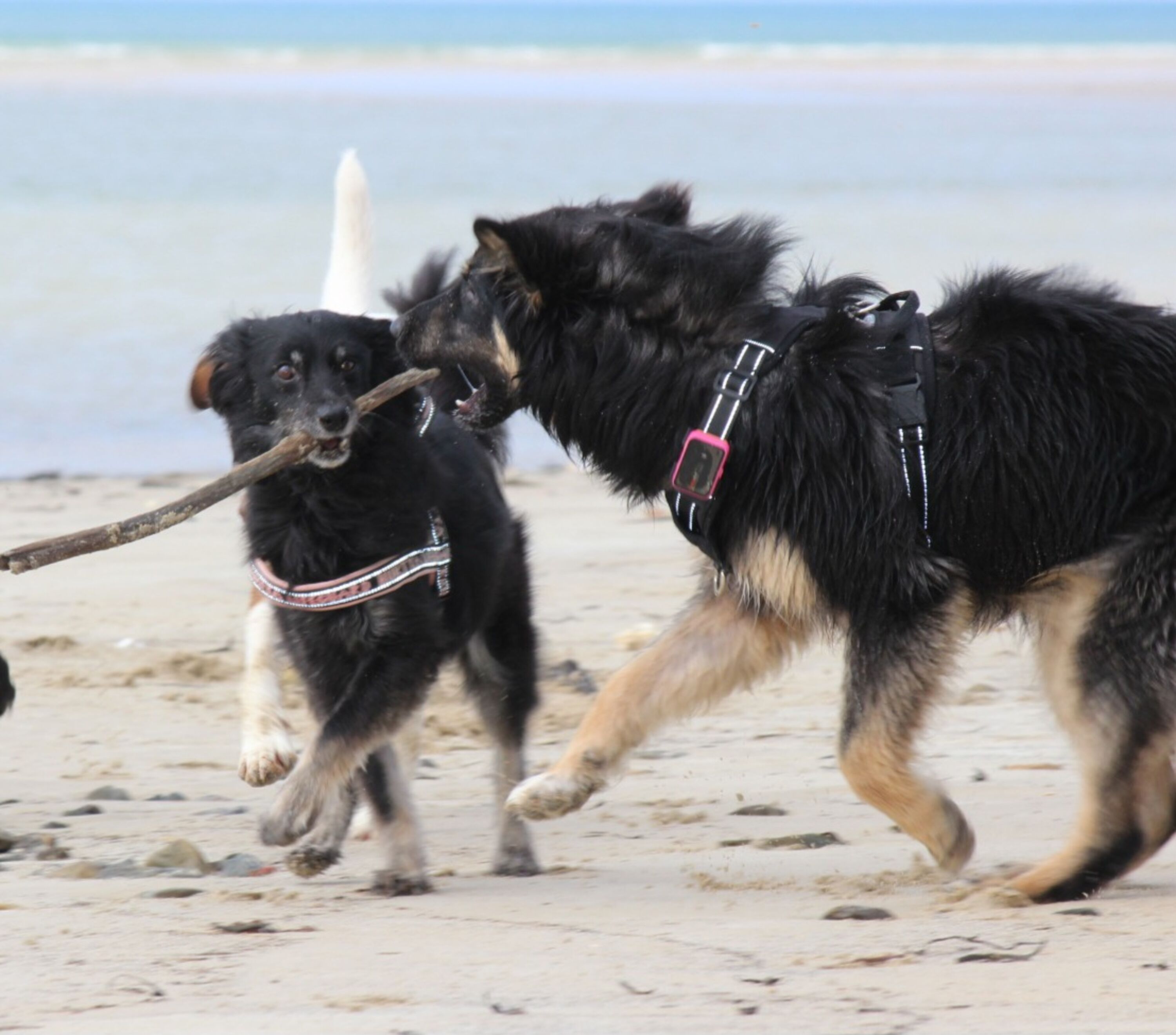 Spiel, Spaß und Spannung am Strand