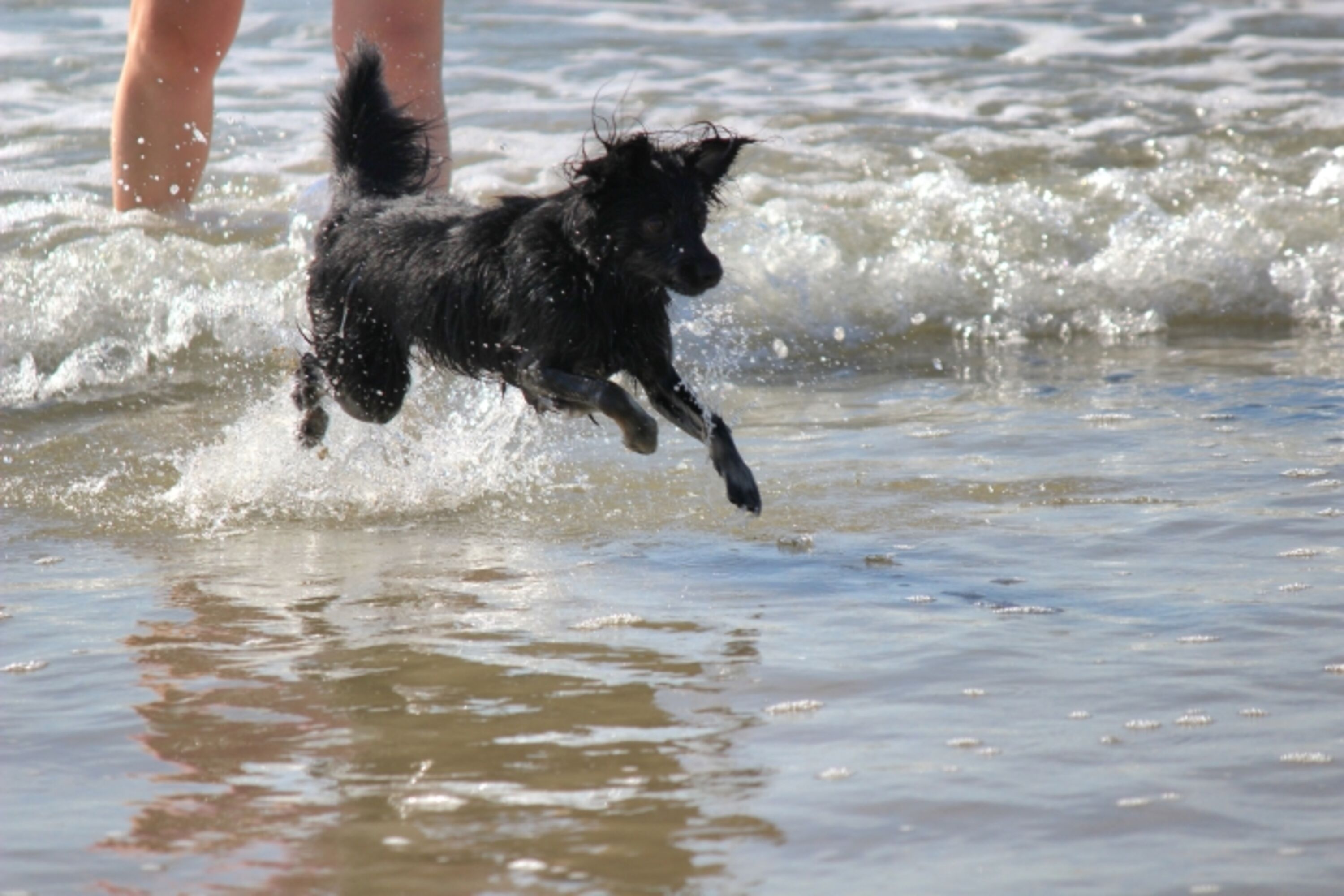 Ebenfalls Sport am Meer