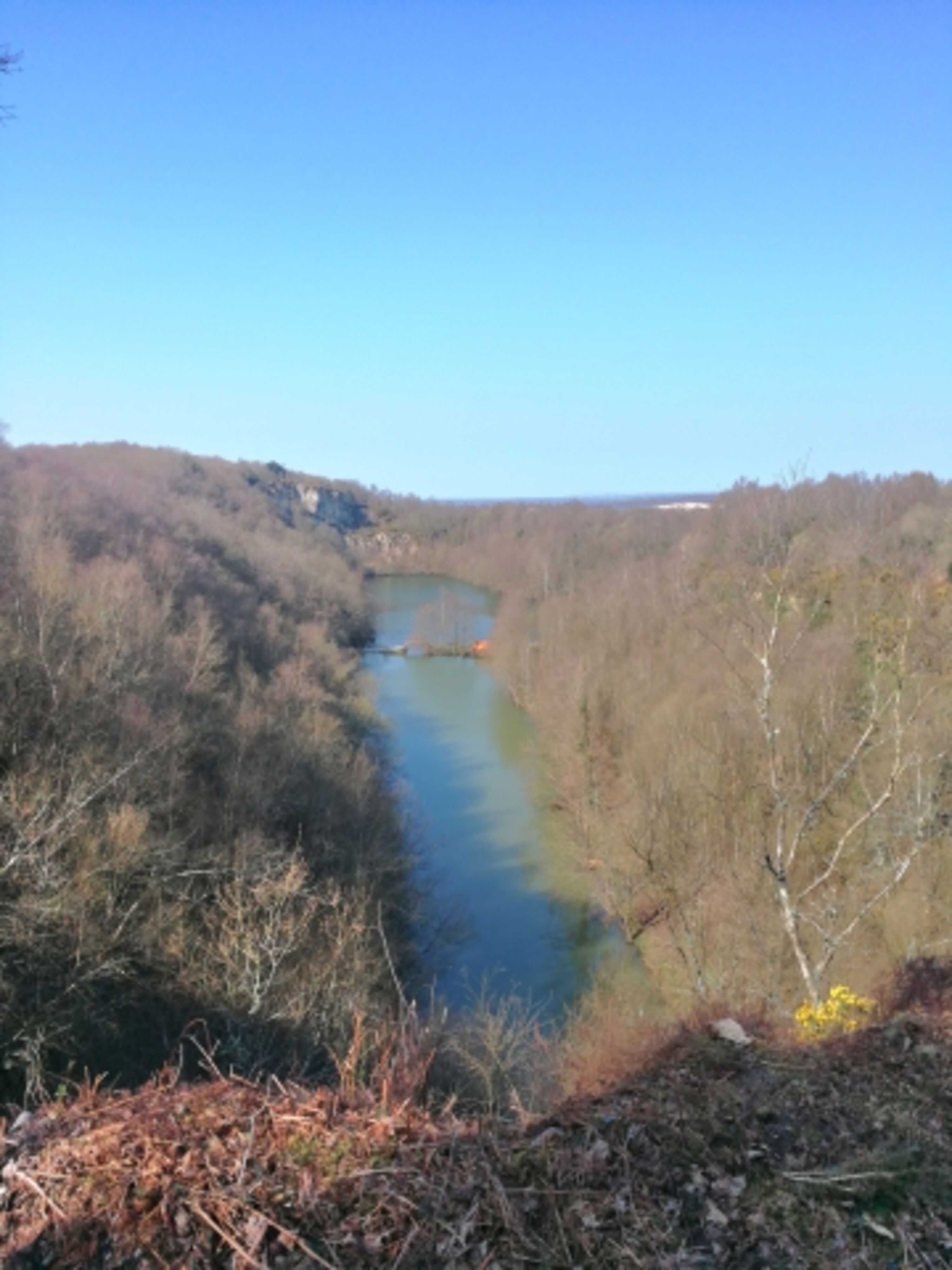 See von Montcastre