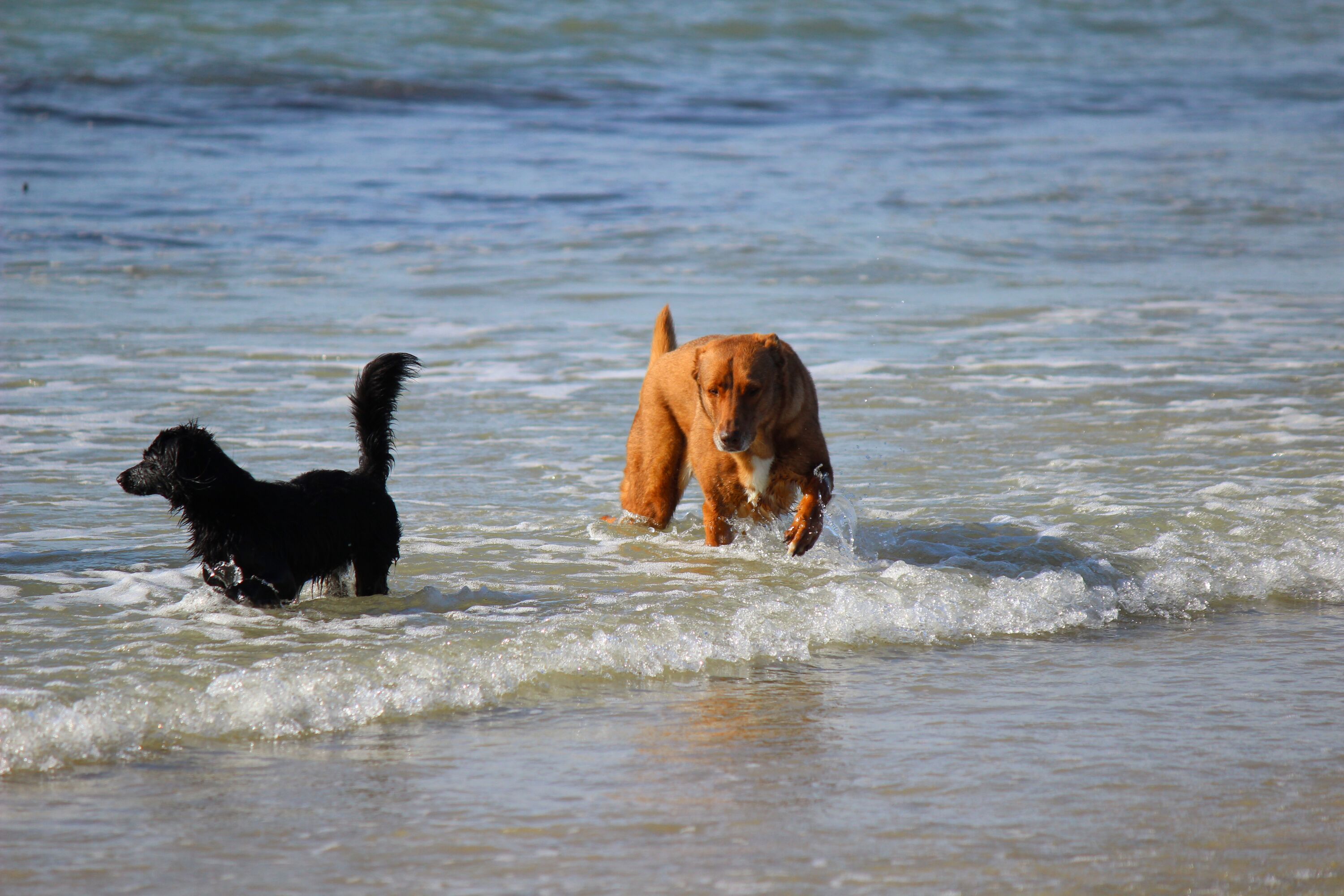 Urlaub!