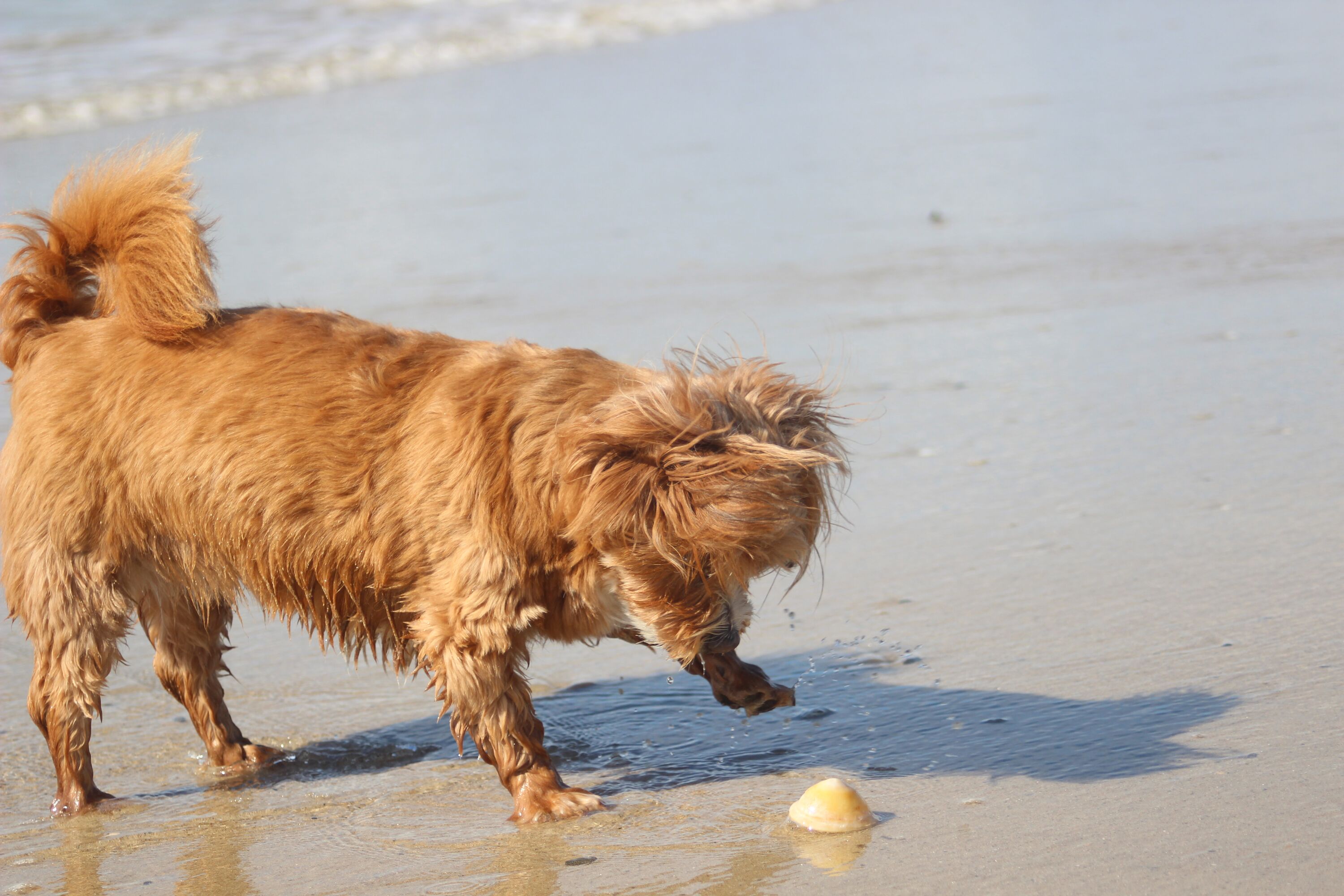 Wunderbarer Sandstrand