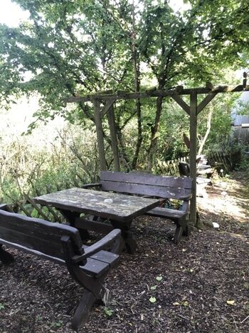 Sitzgruppe aus Holz mit idyllischen Blick in den Wald