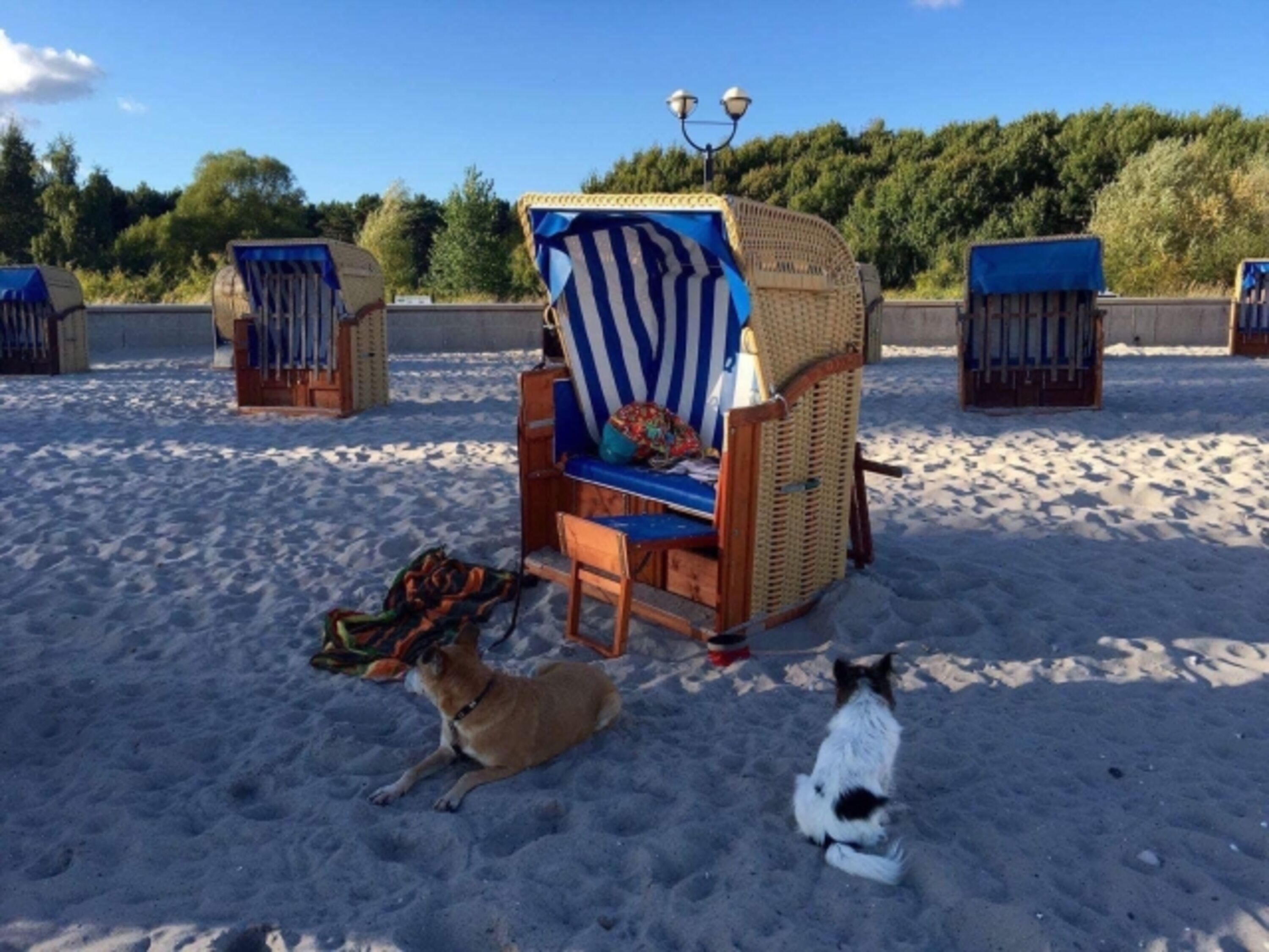 Bild 16