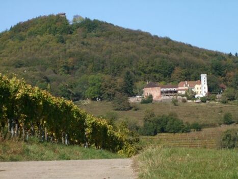 Die Umgebung: Slevogthof