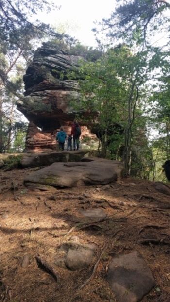 Die Umgebung: tolle Erlebniswanderungen