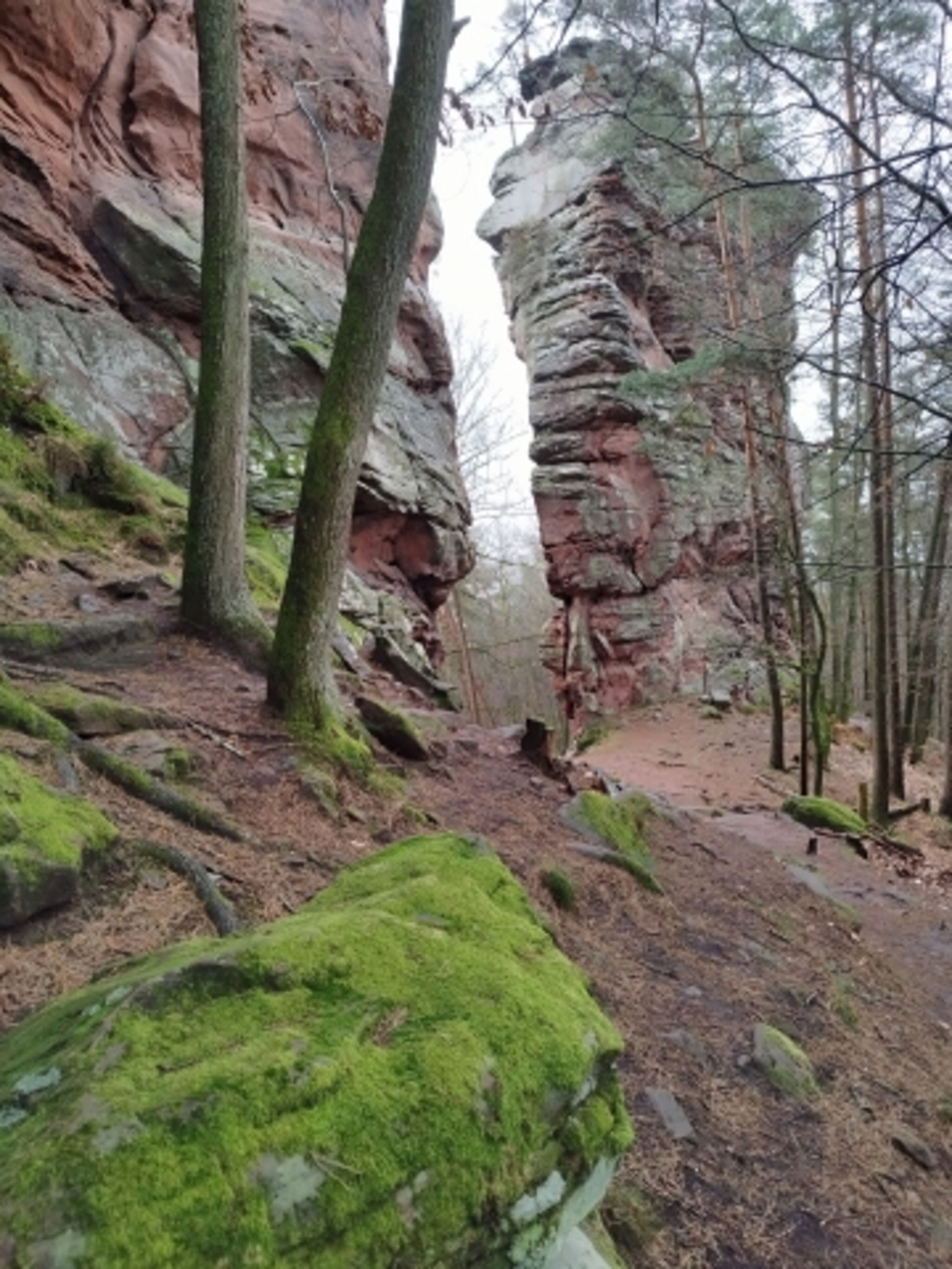 Die Umgebung
