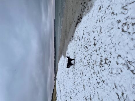 Rudi am Südstrand im Winter
