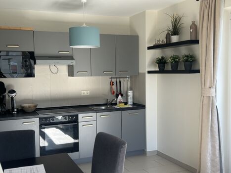 sehr gut eingerichtete Küchenzeile im Wohnzimmer