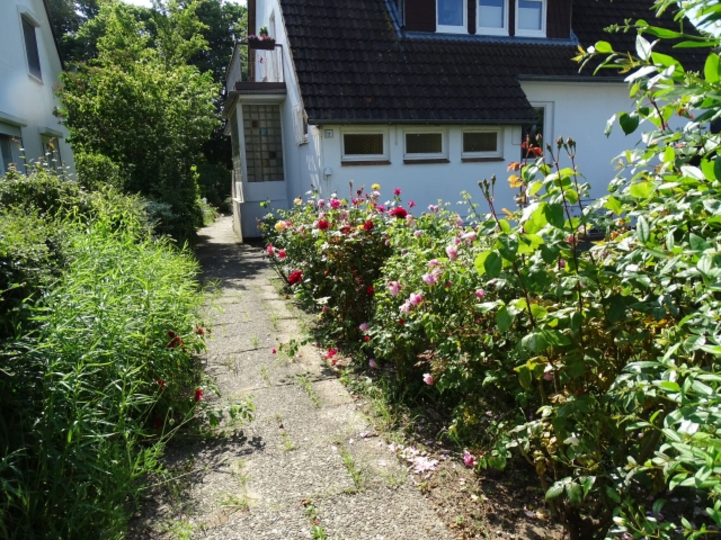 Bild 29