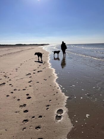 Paradies  für Herrchen und Hund