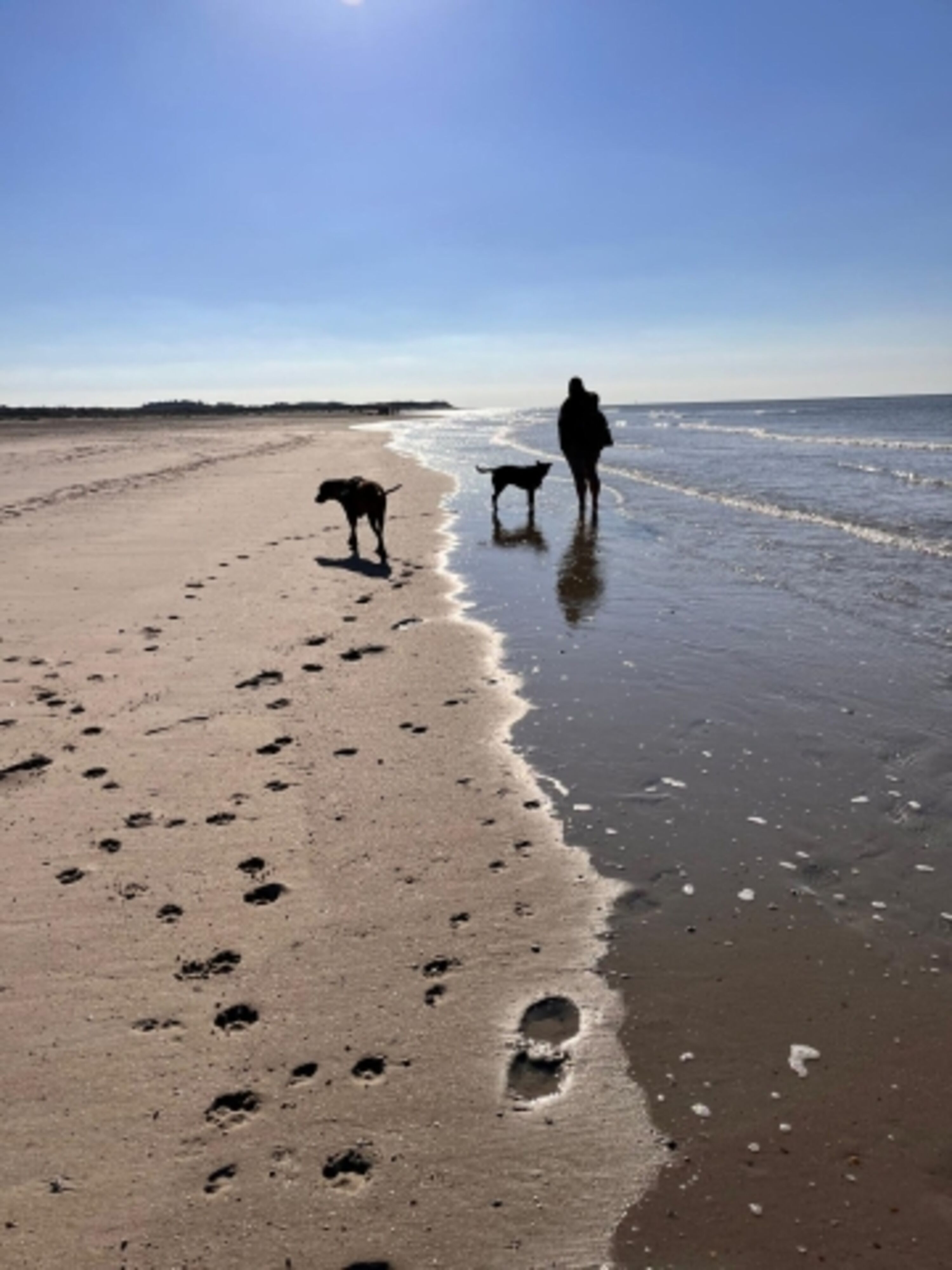 Paradies für Herrchen und Hund