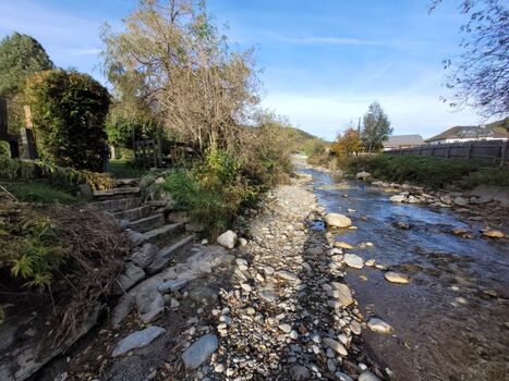 Bach hinter dem Garten