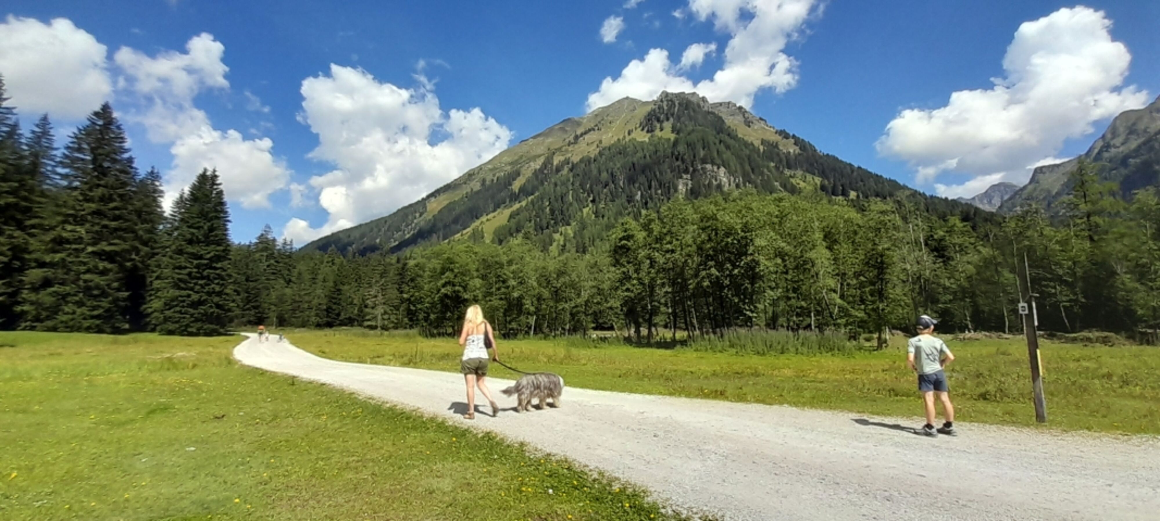 Bild 23