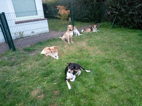 ausruhen im eingezäunten Garten