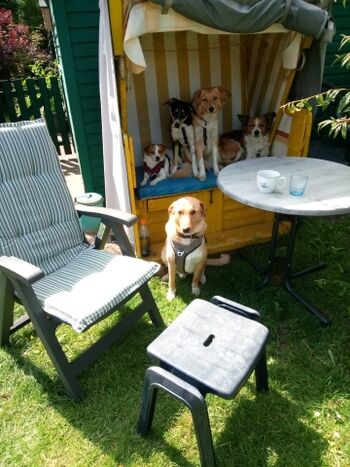 der eigene Strandkorb im Garten