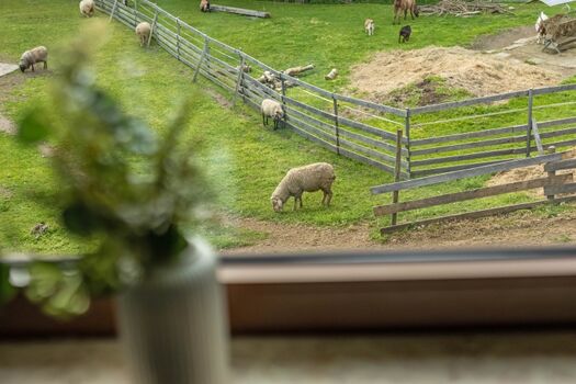 Aussicht vom Wohnzimmer