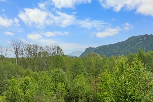 Aussicht vom Esszimmer auf den Petzen