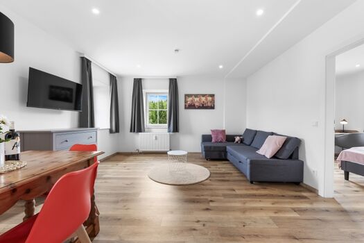 Wohnbereich 1.1 mit Schlafsofa