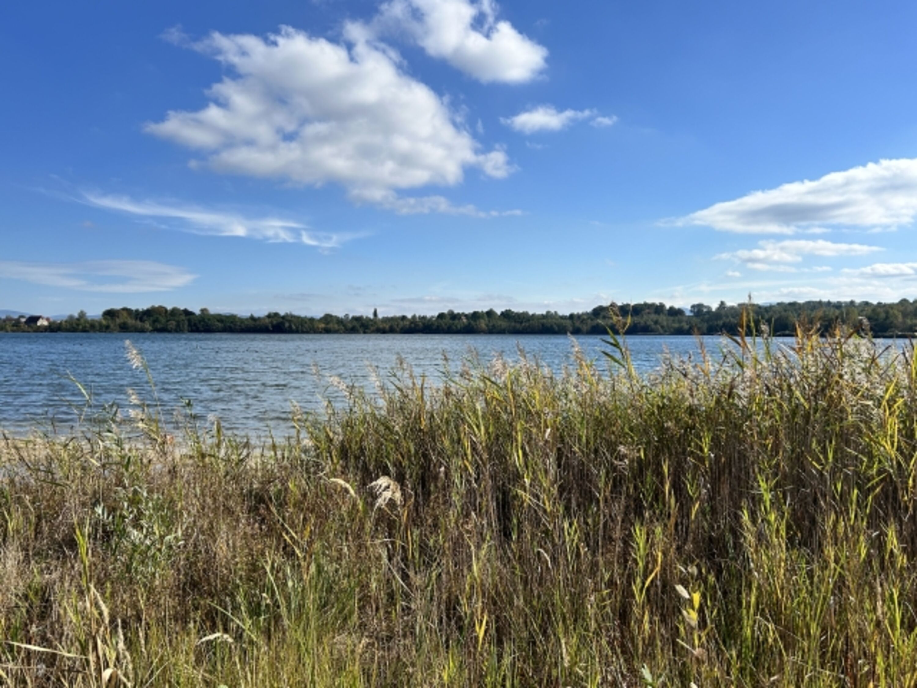 Olbersdorfer See