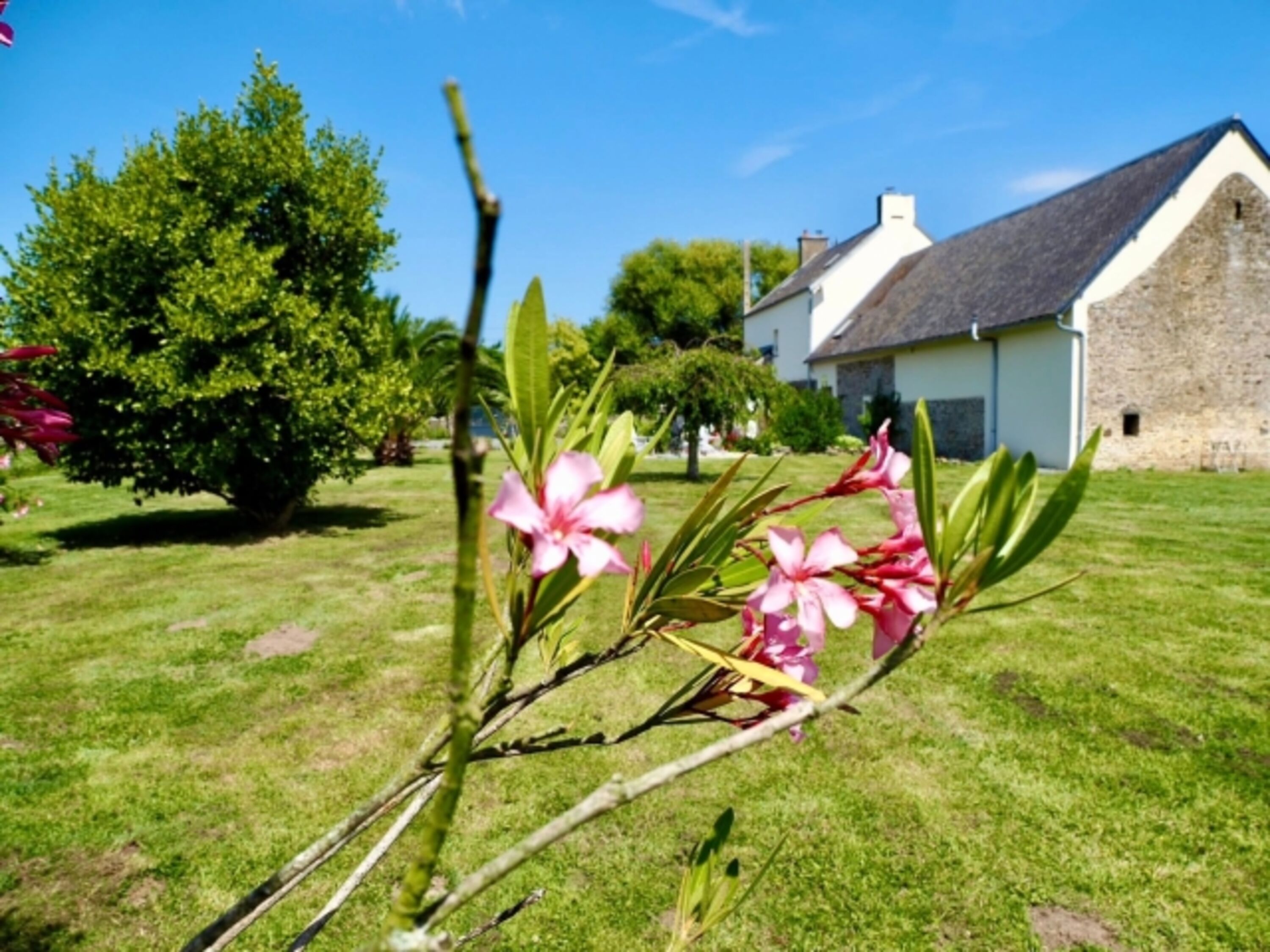Gartenansicht 