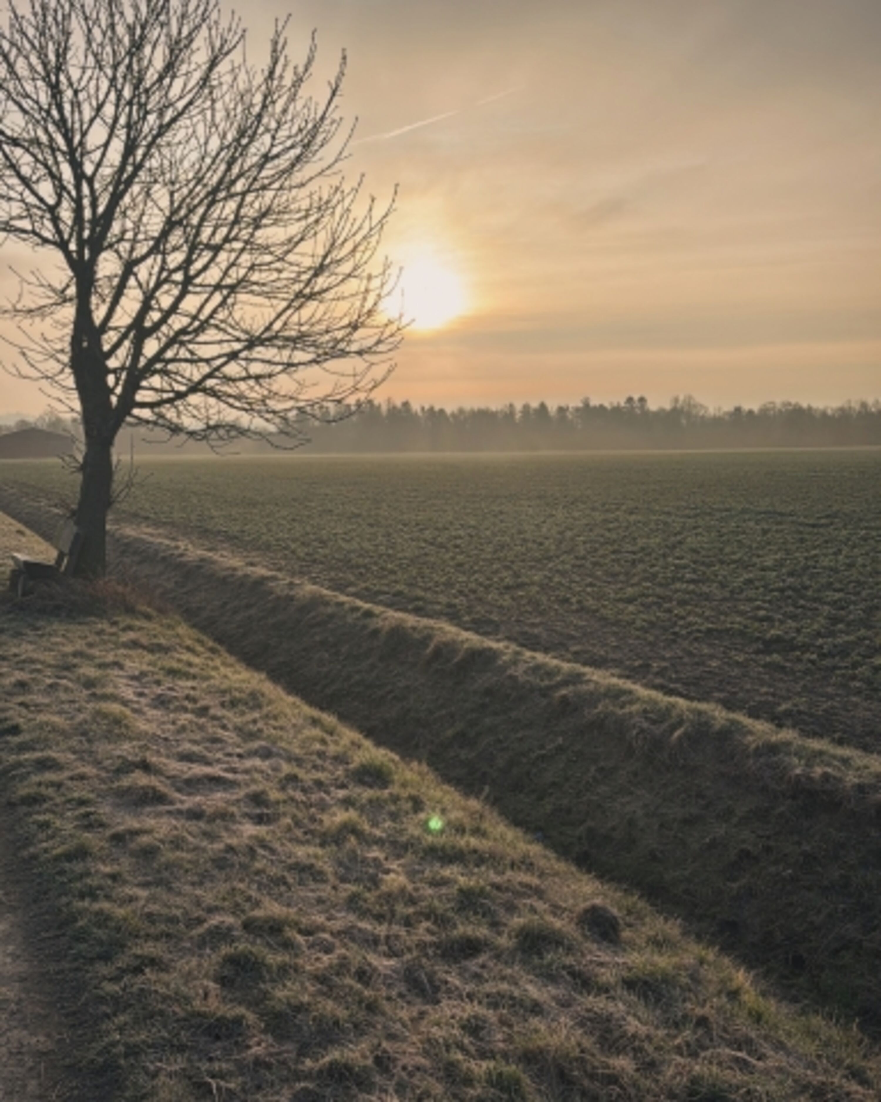 Die Felder