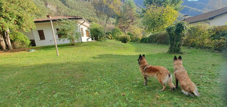 Ferienhaus sole e lago