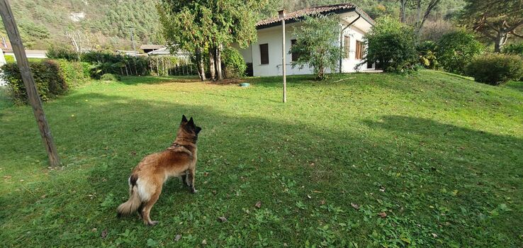 großer komplett eingezäunter Garten