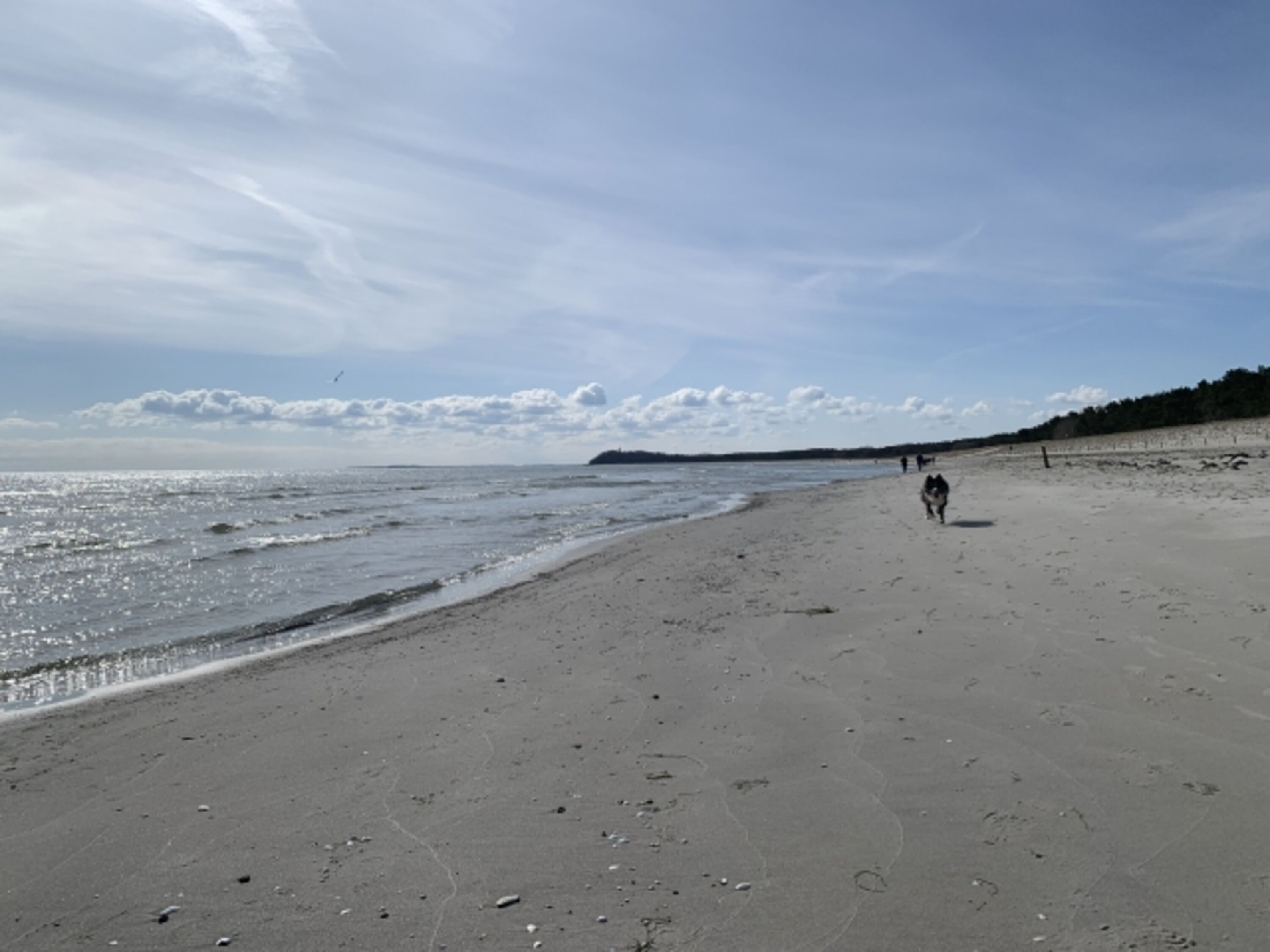 weißer Sandstrand ideal zum Hundespaziergang