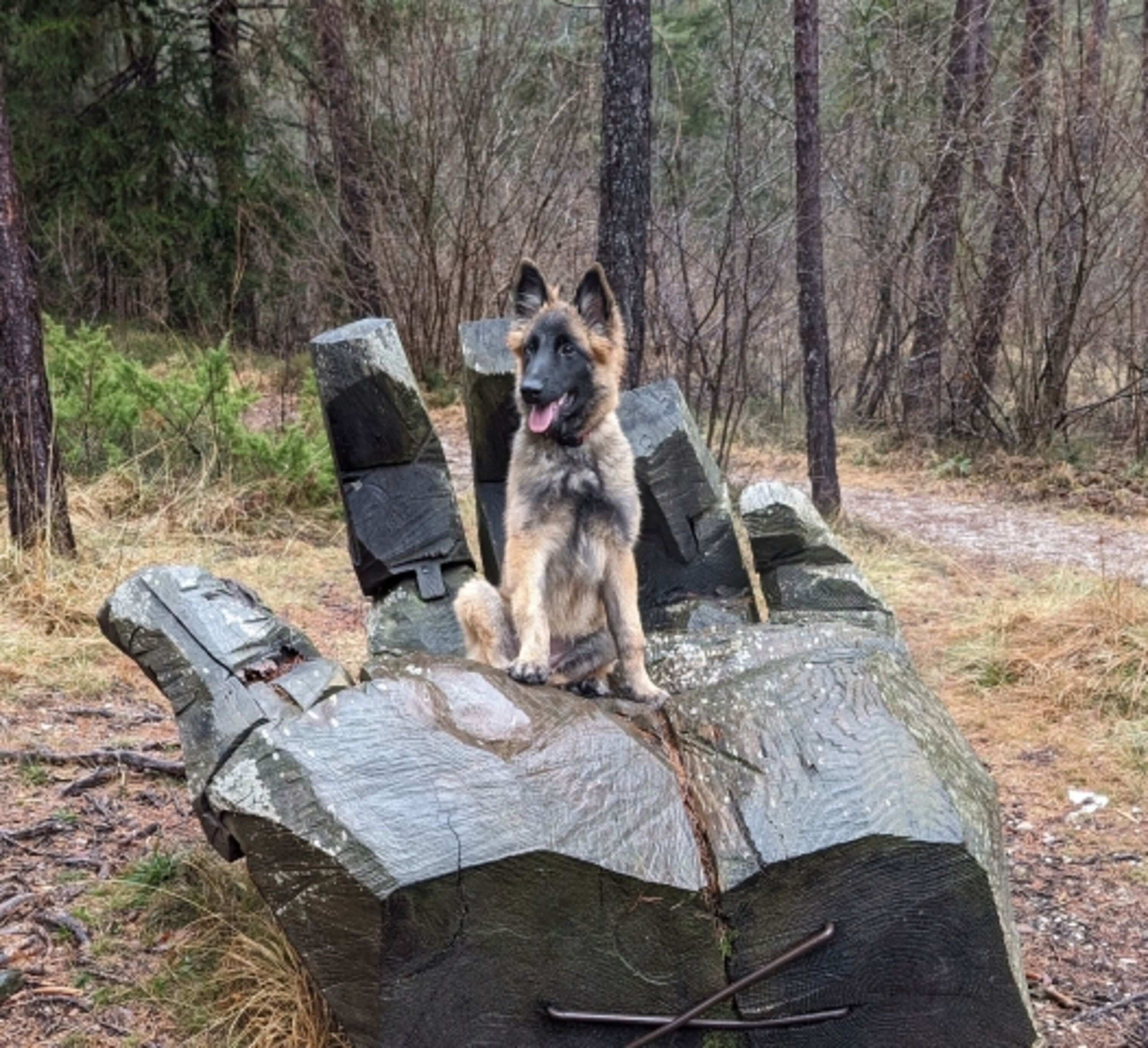 Wanderwege