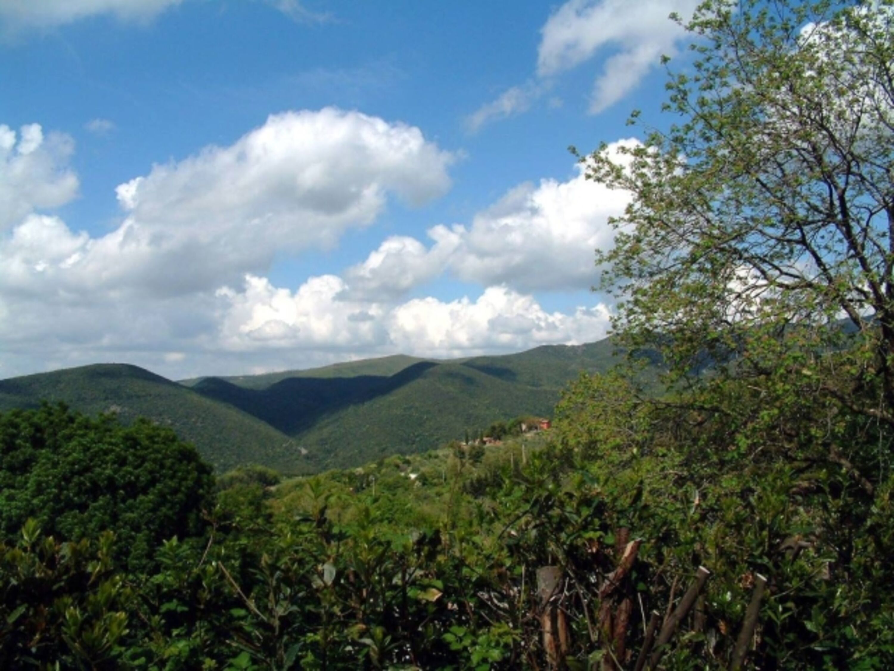 Wunderbares Panorama