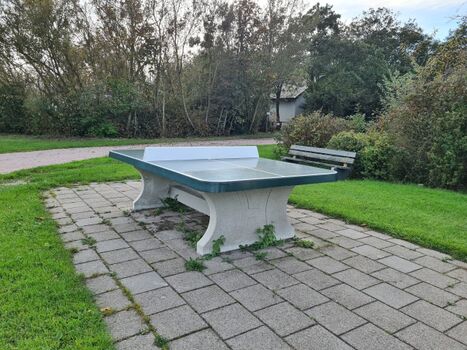 Tischtennisplatte in der Anlsge