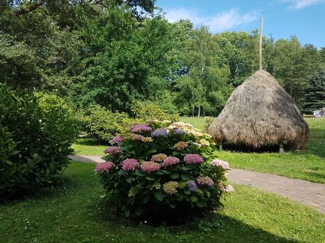 Haus zum Schober - Blick aus der Haustür