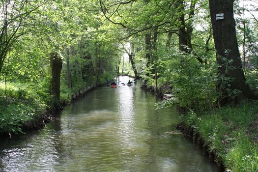 Blick auf das Fließ am Haus 