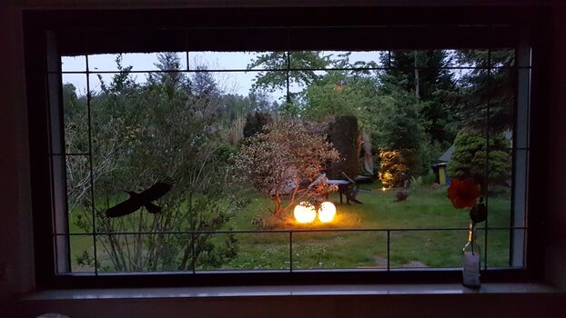 Blich aus dem Wohnzimmer in den Garten