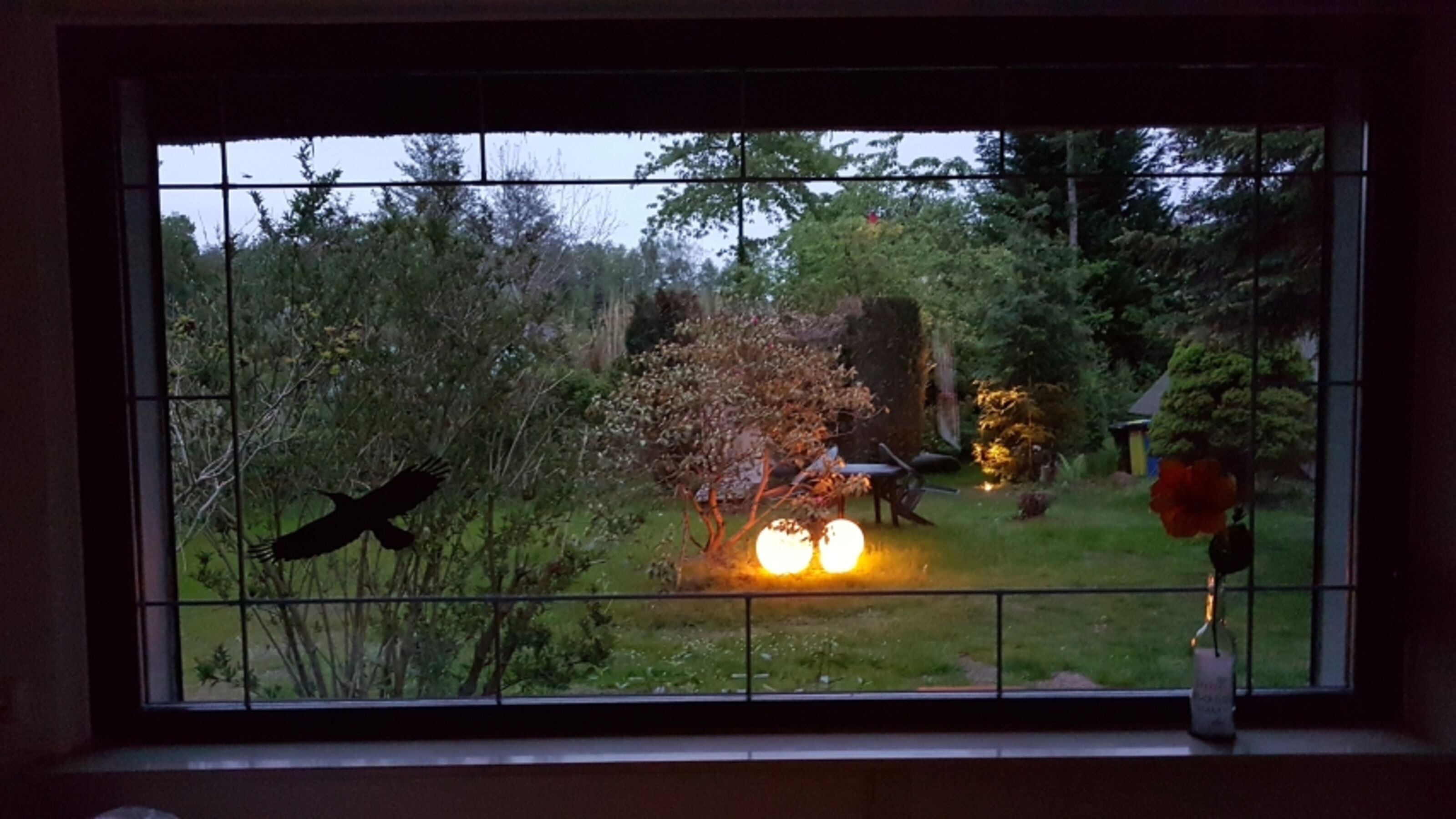 Blich aus dem Wohnzimmer in den Garten