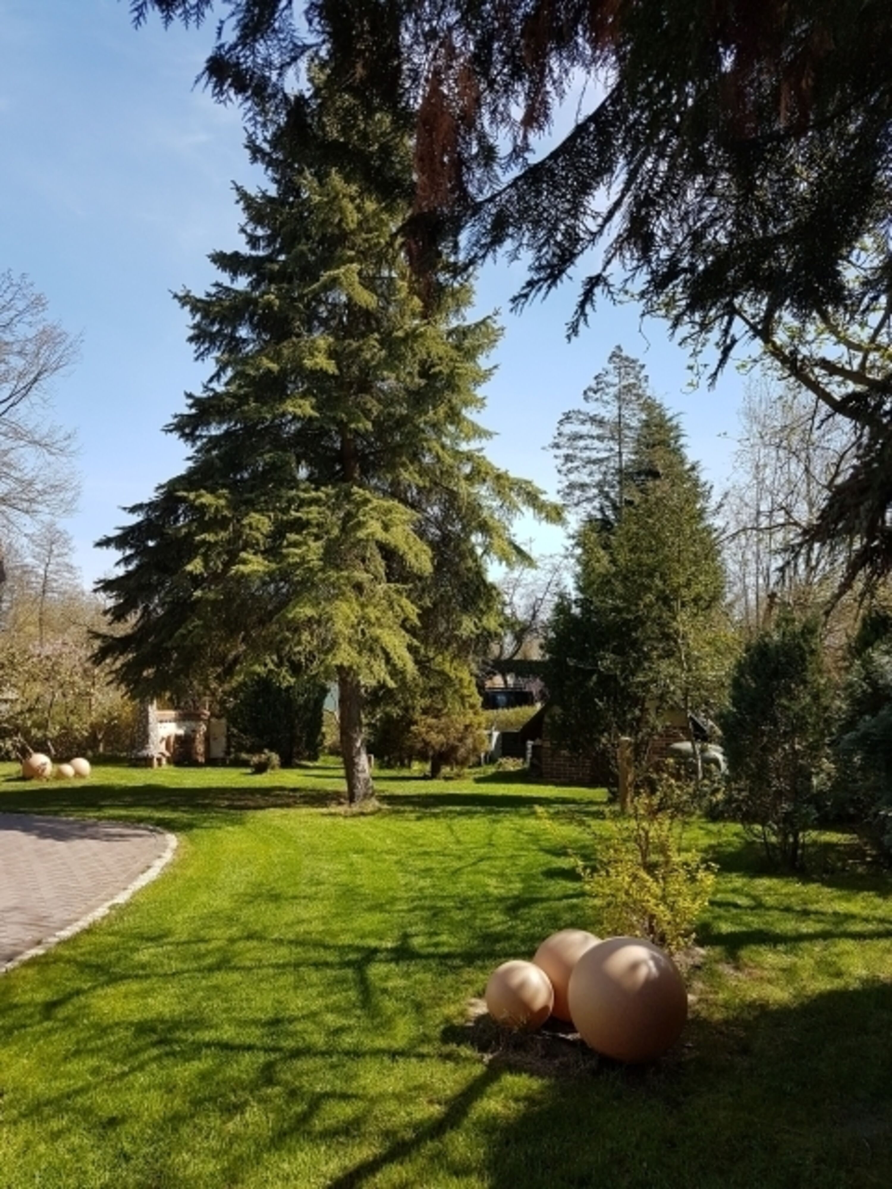 Blick in den Garten