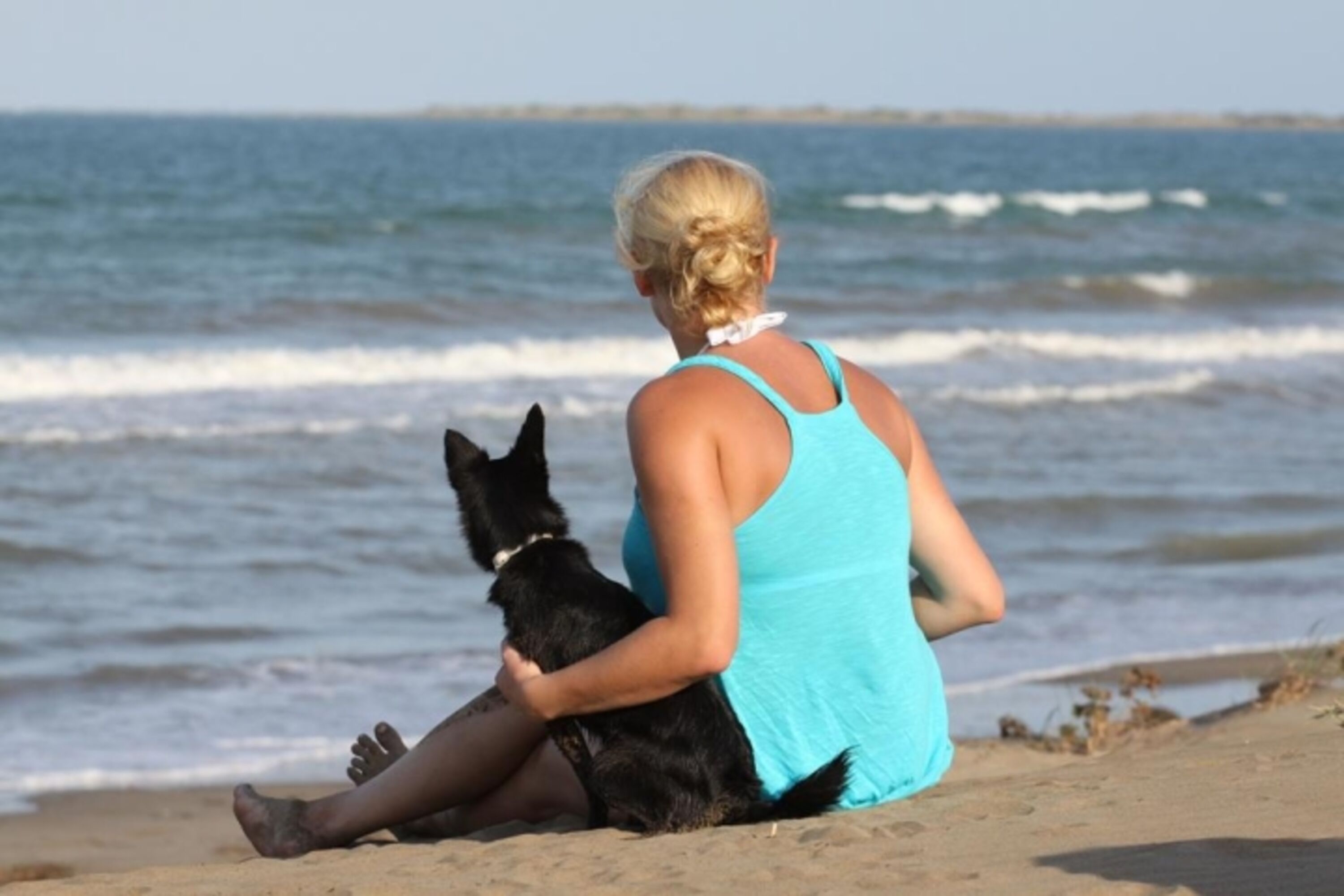 Hundestrand