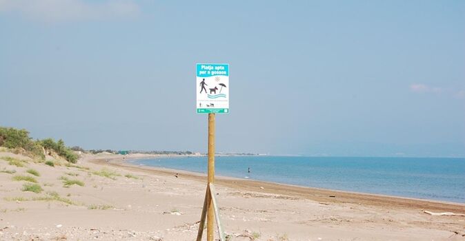 Hundestrand