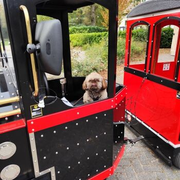 die Parkeisenbahn fährt mehrmals täglich