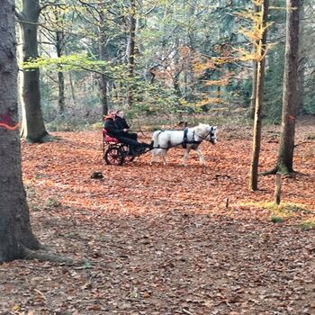 Immer was zu entdecken in der Umgebung