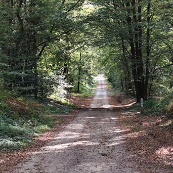 idyllische Wanderwege 