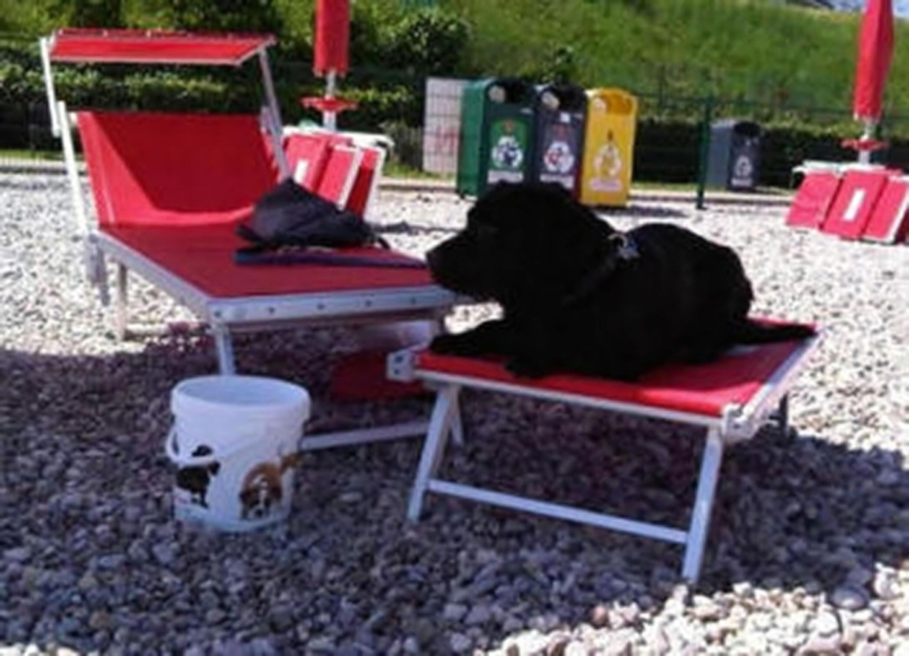 Bild 24