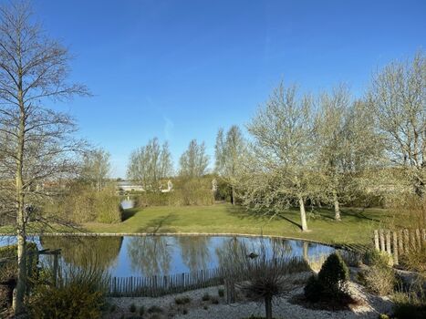 Garten mit Blick auf den Teich