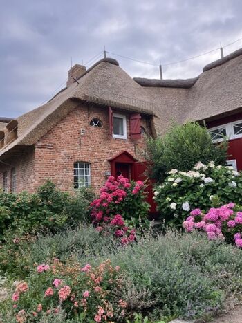 Blumenpracht vor unserer Haustür