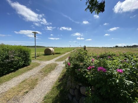 Hinterm Haus auf die Felder