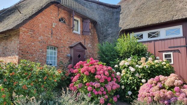 Hereinspaziert in unser gemütliches Nest 