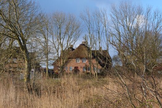 Blick auf Hahnenhof von der Marsch im Winter