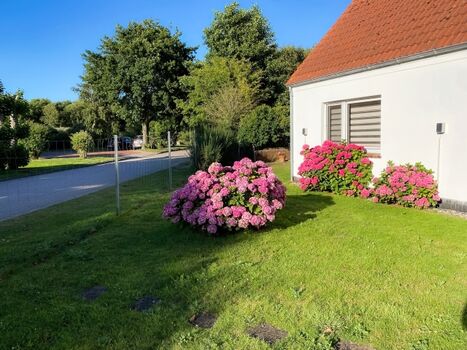 Große Borkumfreiheit mit eignen eingzäuntem Garten